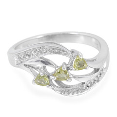 Zilveren ring met xia-apetieten