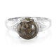 Zilveren ring met een dinosaurus kwarts