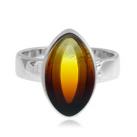 Zilveren ring met een Baltische barnsteen