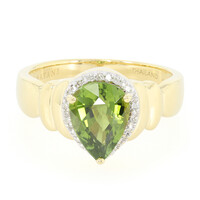 Gouden ring met een Paraiba toermalijn (AMAYANI)