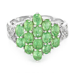 Zilveren ring met Munt Kyanieten