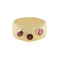Zilveren ring met een rhodliet