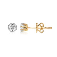 Gouden oorbellen met IF Diamanten (D)