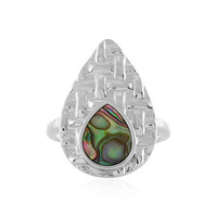 Zilveren ring met een Abalone schelp
