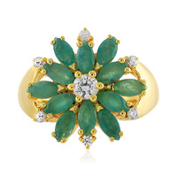 Zilveren ring met Grandidirieten
