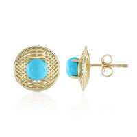 Gouden oorbellen met Sleeping Beauty Turkooisen (Ornaments by de Melo)