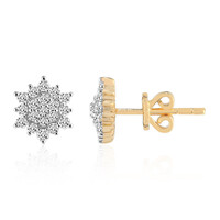 Gouden oorbellen met Diamanten SI1 (G)