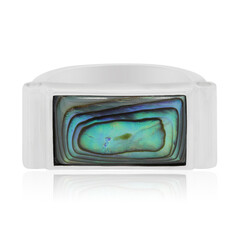 Zilveren ring met een Abalone schelp
