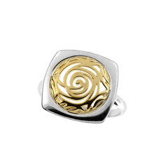 Zilveren ring
